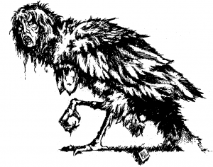 Harpy